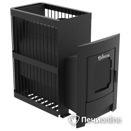 Дровяная банная печь Протопи 18 Сетка со стеклом в Звенигороде